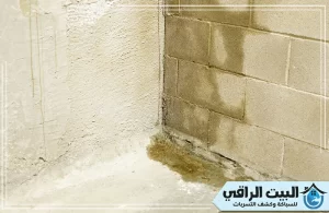 شركة معالجة رطوبة في أم القيوين