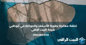تكلفة معالجة رطوبة الأسقف والحوائط في أبوظبي | دليل الأسعار والحلول المعتمدة