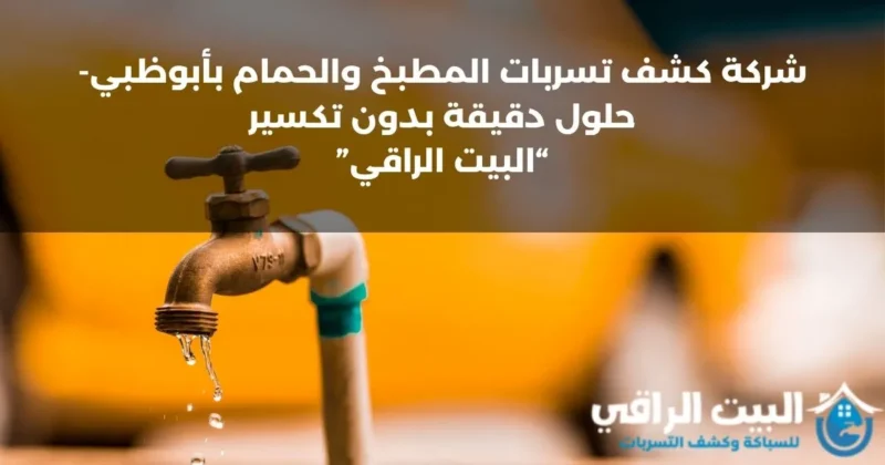 شركة كشف تسربات المطبخ والحمام بأبوظبي- حلول دقيقة بدون تكسير (0545892110)